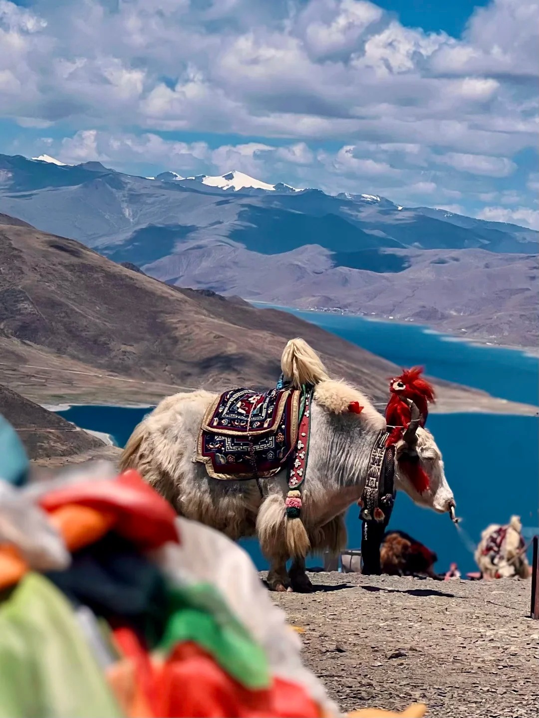 Tibet